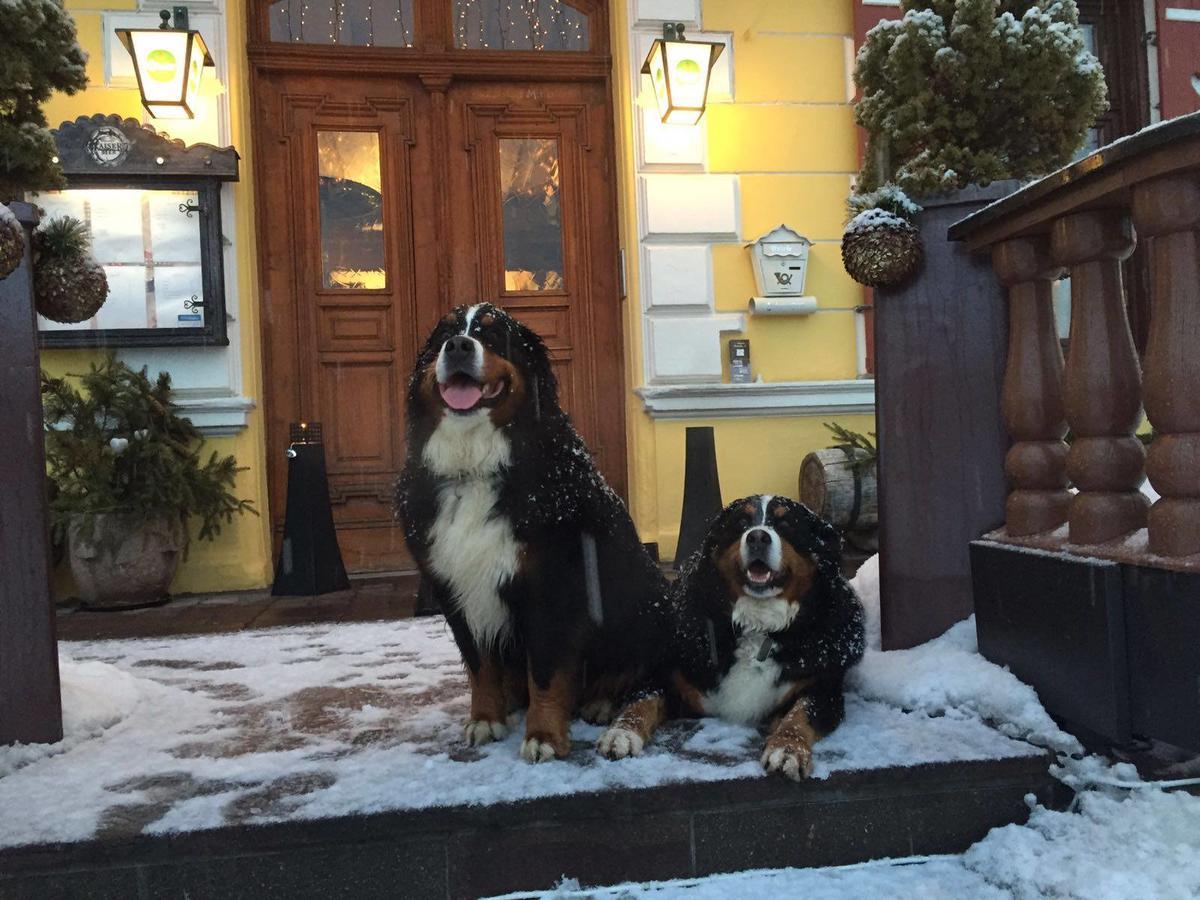 Hotel Gasthof Post Fusch an der Glocknerstraße Eksteriør bilde